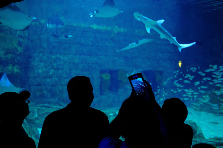is seaworld still open