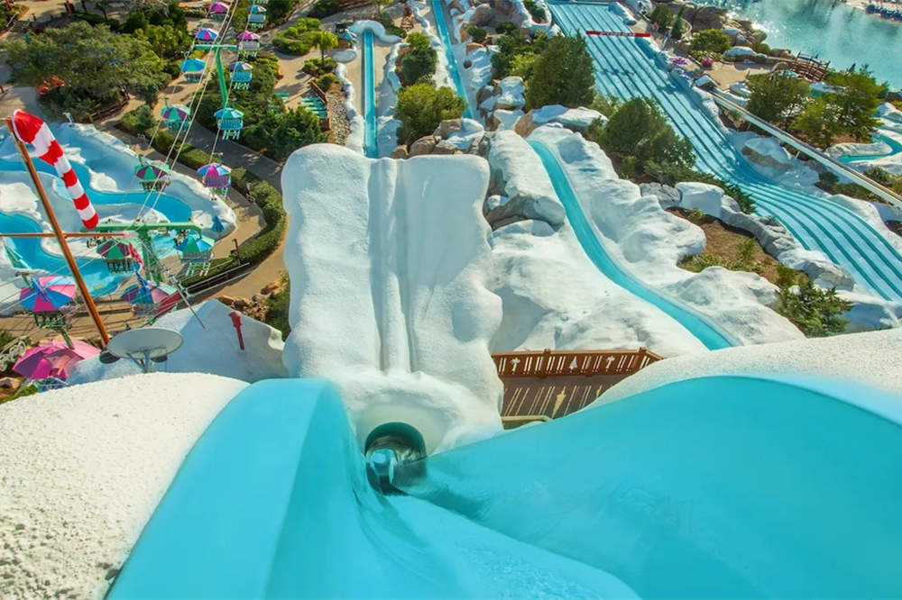 which disney water park is open